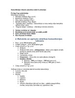 Конспект 'Komunikācijas vēstures konspekts priekš eksāmena', 2.