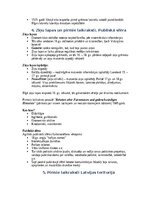 Конспект 'Komunikācijas vēstures konspekts priekš eksāmena', 4.