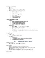 Конспект 'Komunikācijas vēstures konspekts priekš eksāmena', 29.