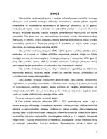 Реферат 'Cēsu pilsētas teritorijas plānojuma (2005. - 2017.g.) analīze', 3.