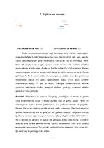 Конспект 'Personības psiholoģiskais raksturojums', 7.