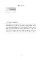 Конспект 'Personības psiholoģiskais raksturojums', 10.