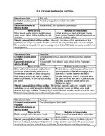 Отчёт по практике 'Agrīnās bērnības pedagoģijas prakse', 4.