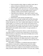 Отчёт по практике 'Agrīnās bērnības pedagoģijas prakse', 7.