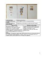 Отчёт по практике 'Agrīnās bērnības pedagoģijas prakse', 9.