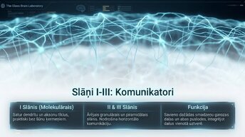 Презентация 'Neokorteksa arhitektūra, 6 apziņas slāņi', 3.