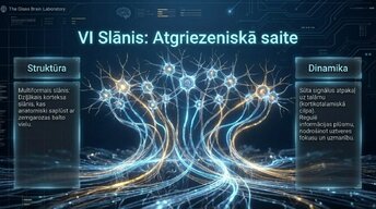 Презентация 'Neokorteksa arhitektūra, 6 apziņas slāņi', 6.
