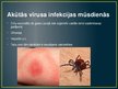 Презентация 'Vīrusu infekcijas', 6.