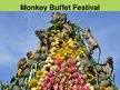 Презентация 'Monkey Buffet Festival', 3.