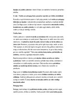 Конспект 'Pusaudžu un agrīnā brieduma vecumposmu vajadzības un vērtības: teorija un prakti', 5.