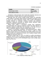 Дипломная 'Mikrouzņēmumu nodokļu optimizācijas iespējas', 24.