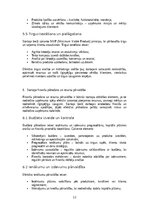 Конспект 'Startapa izveide un inovācijas vadība – biznesa ideju attīstība, investoru piesa', 12.