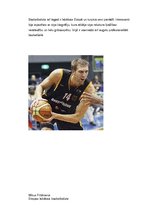 Конспект 'Eiropas labākais basketbolists - Dirks Novickis', 7.