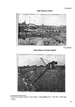 Реферат 'Silikātu rūpniecība Mazsalacas apkārtnē 19.gadsimta beigās un 20.gadsimta sākumā', 50.