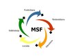 Презентация 'MSF programma', 3.