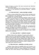 Реферат 'Mazumtirdzniecības uzņēmuma "Latvijas Balzams" darbības analīze un plānošana', 13.
