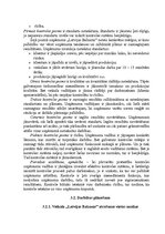 Реферат 'Mazumtirdzniecības uzņēmuma "Latvijas Balzams" darbības analīze un plānošana', 27.