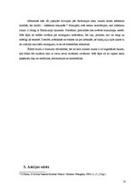 Реферат 'Senās Divupes kultūra', 16.