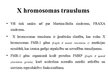 Презентация 'X hromosomas trauslums', 2.