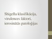 Презентация 'Shigellu klasifikācija, virulences faktori, ierosinātās patoloģijas', 1.