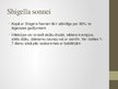 Презентация 'Shigellu klasifikācija, virulences faktori, ierosinātās patoloģijas', 7.