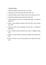 Эссе 'Daina Opolskaitė – sabiedrības atspulgs mūsdienu latviešu literatūrā', 3.