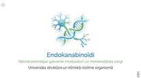 Презентация 'Endokanabinoīdi', 1.