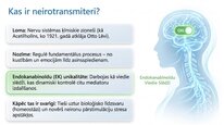 Презентация 'Endokanabinoīdi', 2.
