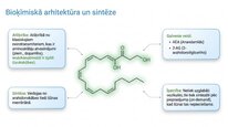 Презентация 'Endokanabinoīdi', 4.