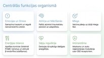 Презентация 'Endokanabinoīdi', 6.