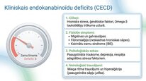Презентация 'Endokanabinoīdi', 8.