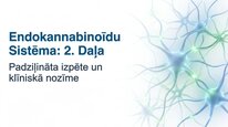 Презентация 'Endokanabinoīdi', 13.