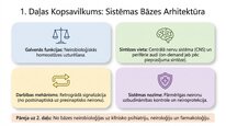 Презентация 'Endokanabinoīdi', 14.