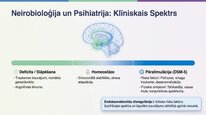 Презентация 'Endokanabinoīdi', 15.