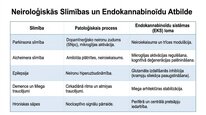 Презентация 'Endokanabinoīdi', 16.