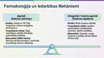 Презентация 'Endokanabinoīdi', 17.
