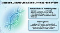 Презентация 'Endokanabinoīdi', 23.