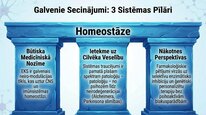 Презентация 'Endokanabinoīdi', 25.