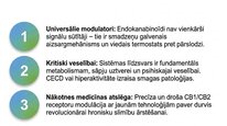 Презентация 'Endokanabinoīdi', 26.