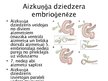 Презентация 'Aknu, aizkuņģa dziedzera histoloģija; gestācijas (grūtnieču) cukura diabēts', 12.