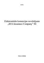 Реферат 'Elektroniskās komercijas novērtējums "BTA Insurance Company" SE', 1.