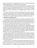 Эссе 'A Healthy Lifestyle for Students', 8.