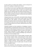 Эссе 'Computational Scientific Discovery in Psychology and the Role of AI', 5.