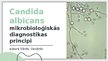 Презентация 'Candida albicans mikrobioloģiskās diagnostikas principi', 1.