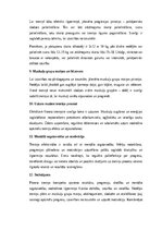 Эссе 'Fitnesa treniņa konspekts: efektīvs treniņš veselības un izturības attīstībai', 4.