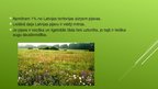 Презентация 'Ekosistēma - pļava', 4.