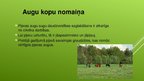 Презентация 'Ekosistēma - pļava', 9.