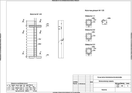 Образец документа 'Dzelzsbetona konstrukciju projektēšana', 27.