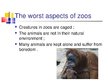 Презентация 'Keeping Wild Animals in Zoos', 5.