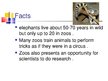 Презентация 'Keeping Wild Animals in Zoos', 10.